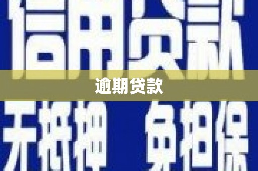 永定逾期贷款
