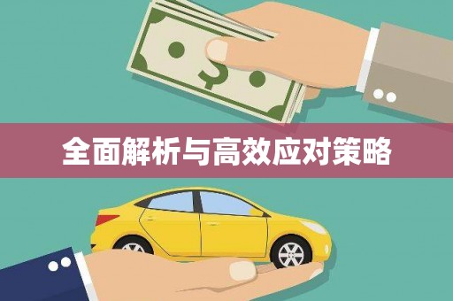永定全面解析与高效应对策略