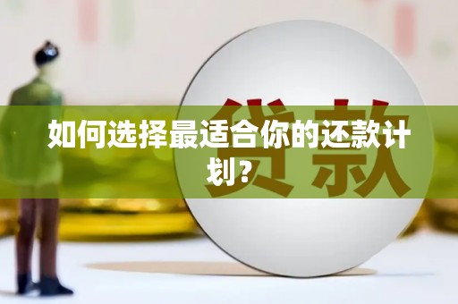永定如何选择最适合你的还款计划？