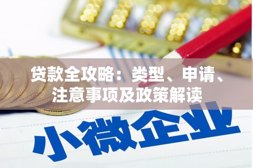 永定贷款全攻略：类型、申请、注意事项及政策解读