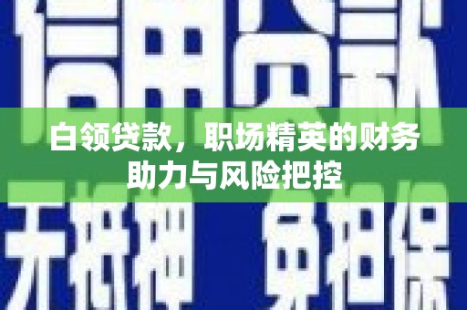 永定白领贷款，职场精英的财务助力与风险把控